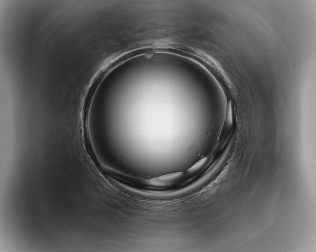 X0000096191176200801181315