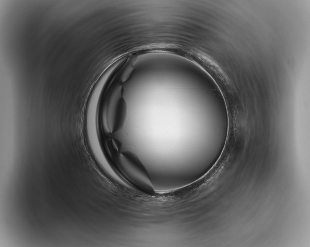 X0000096191177200801181315
