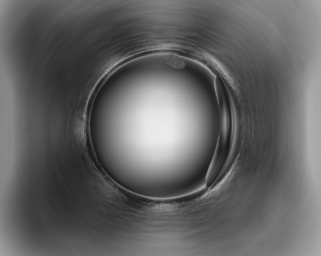 X0000096191178200801181315