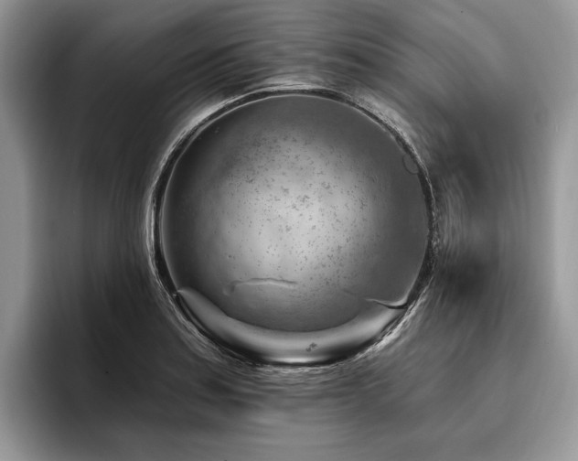 X0000096191179200801181315