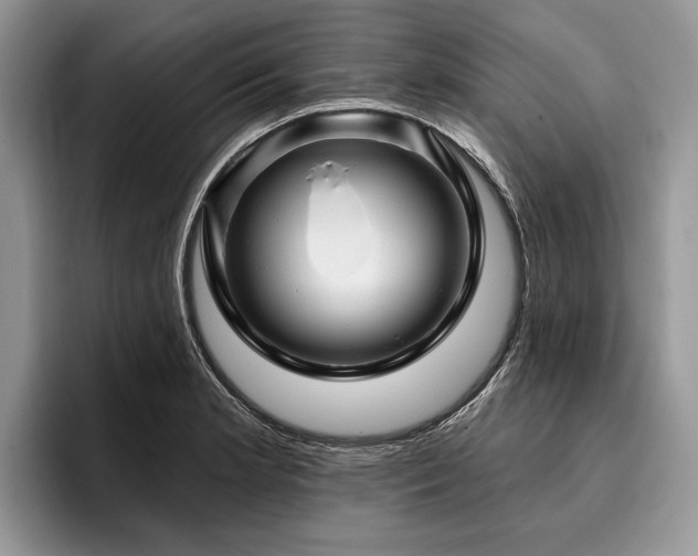 X0000096191181200801181315