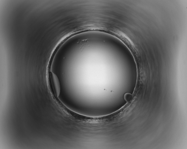 X0000096191182200801181315