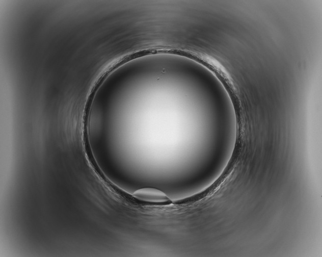 X0000096191183200801181315