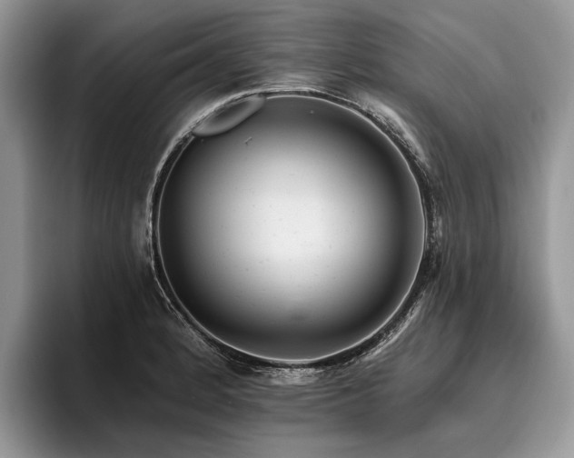 X0000096191184200801181315