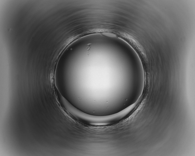 X0000096191185200801181315