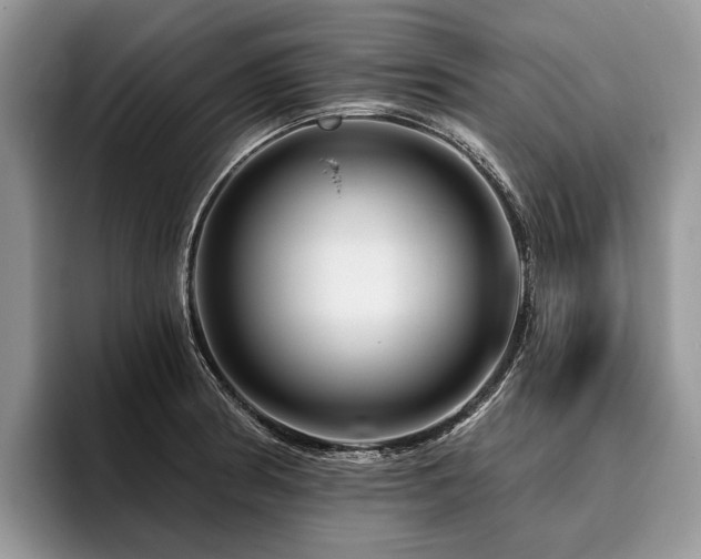 X0000096191186200801181315