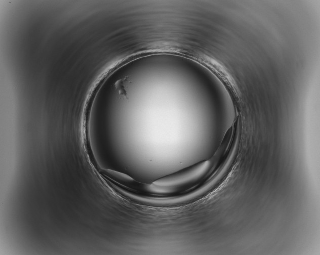 X0000096191188200801181314