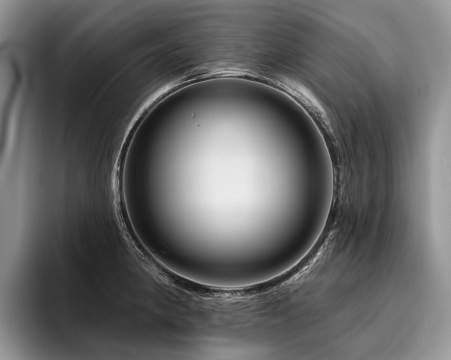 X0000096191190200801181314