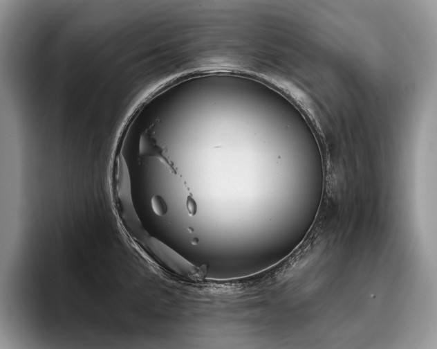 X0000096191191200801181314