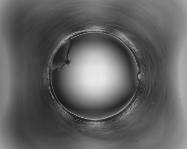 X0000096191192200801181314