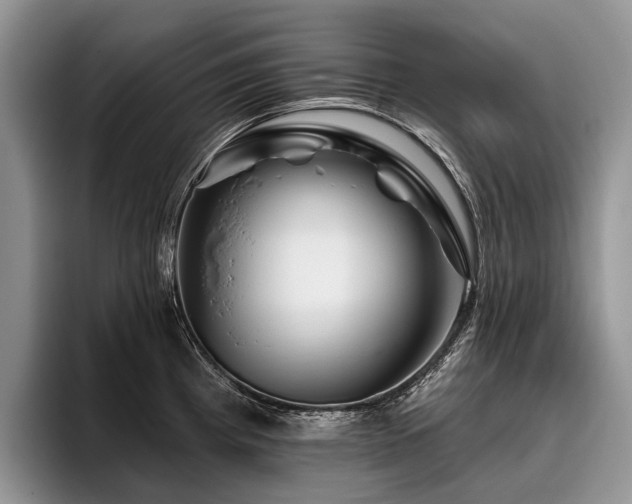 X0000096191193200801181314