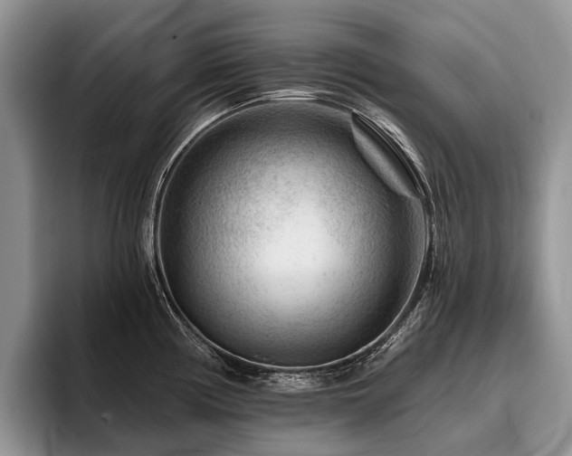 X0000096191194200801181314