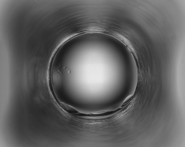 X0000096191195200801181314