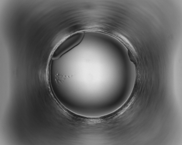 X0000096191196200801181314