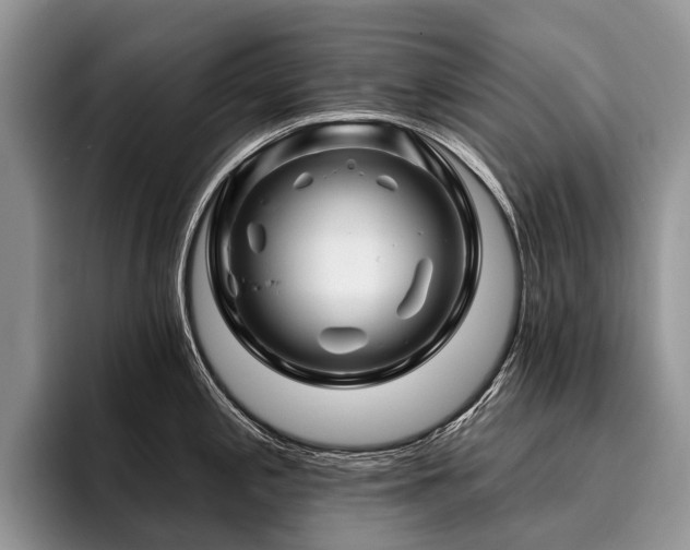 X0000096191197200801181314