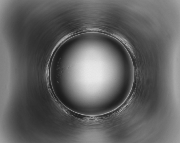 X0000096191198200801181314