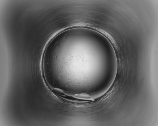 X0000096191199200801181314