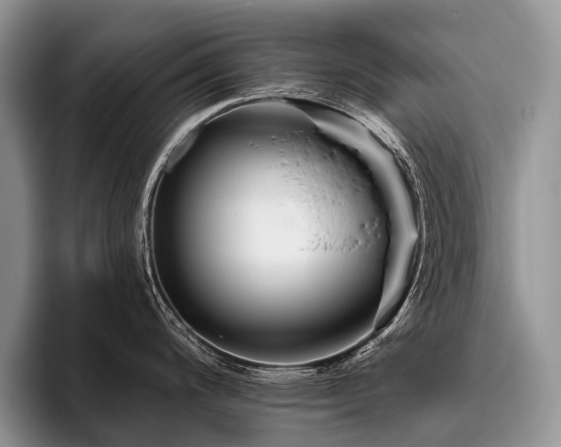 X0000096191200200801181314