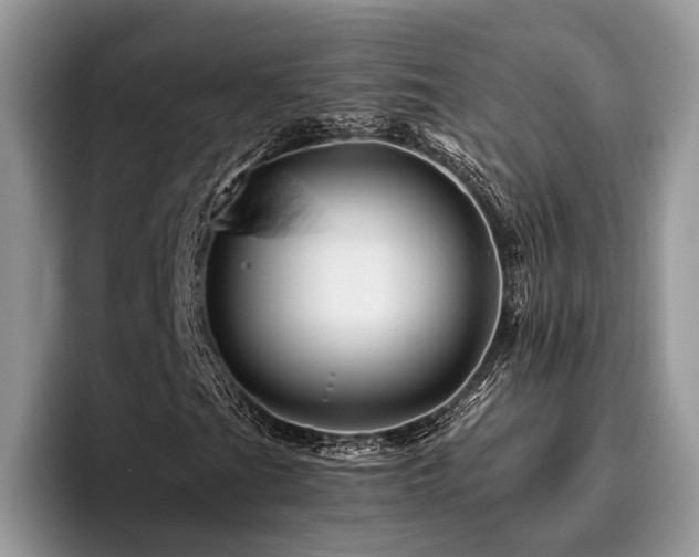 X0000096191201200801181314