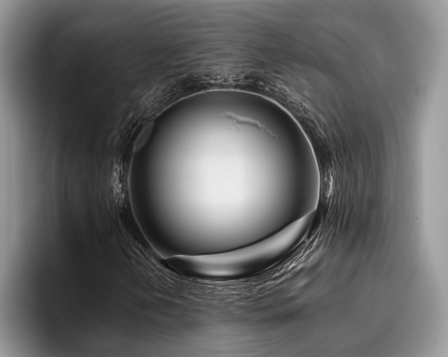 X0000096191202200801181314