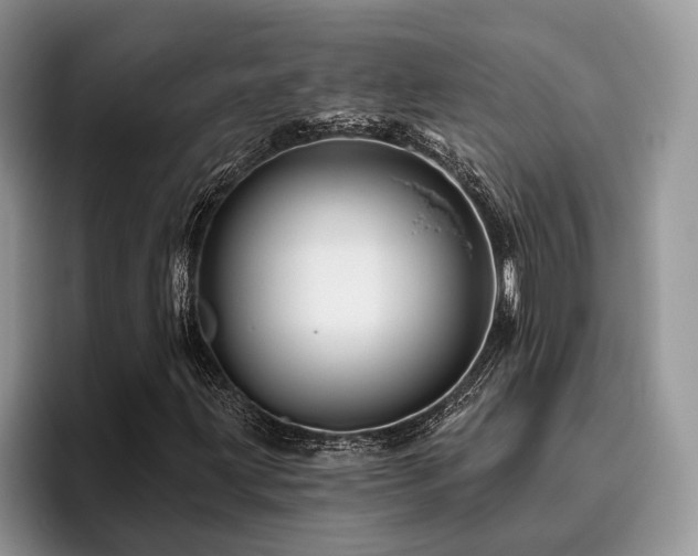 X0000096191203200801181314