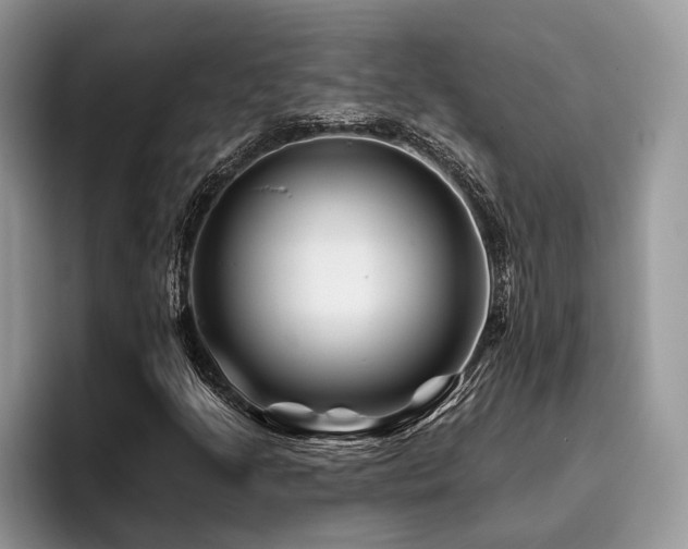 X0000096191205200801181314