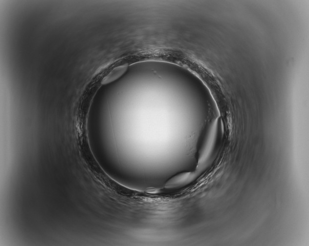 X0000096191206200801181314