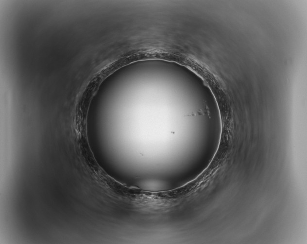 X0000096191207200801181314