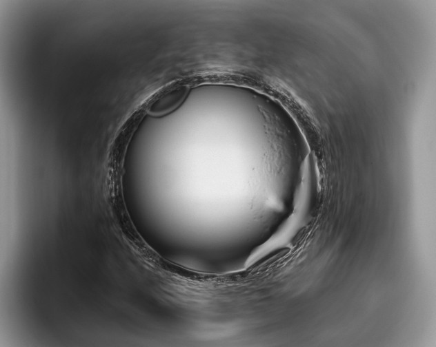 X0000096191208200801181314