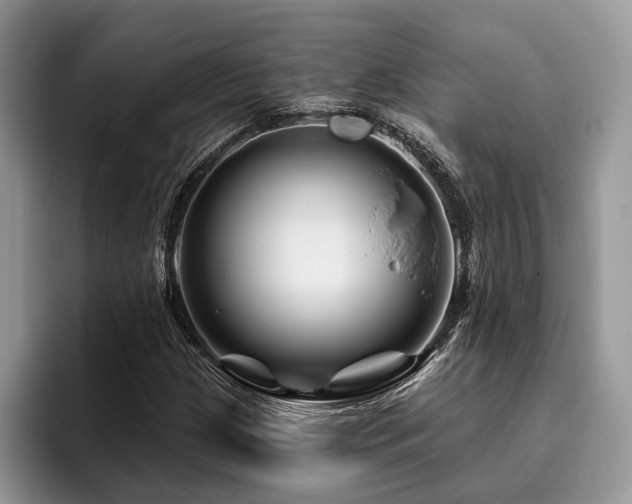 X0000096191209200801181314