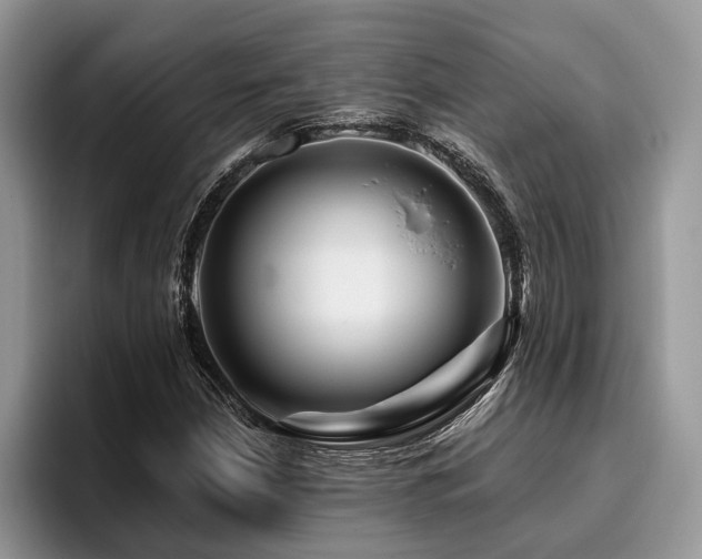 X0000096191210200801181314