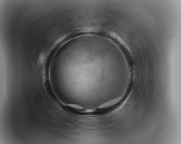 X0000096191213200801181314