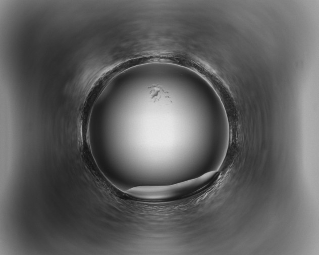 X0000096191214200801181314
