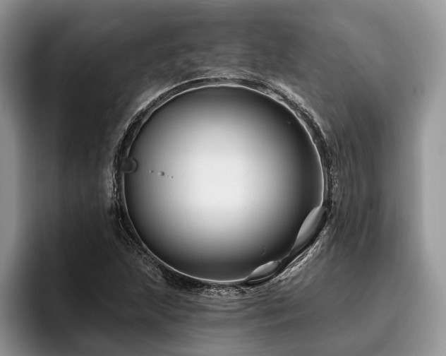 X0000096191215200801181314