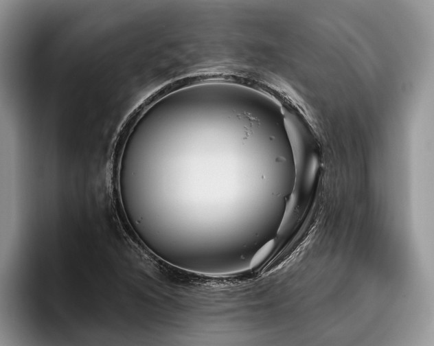 X0000096191216200801181314
