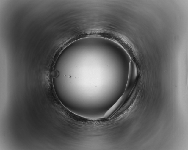 X0000096191217200801181314