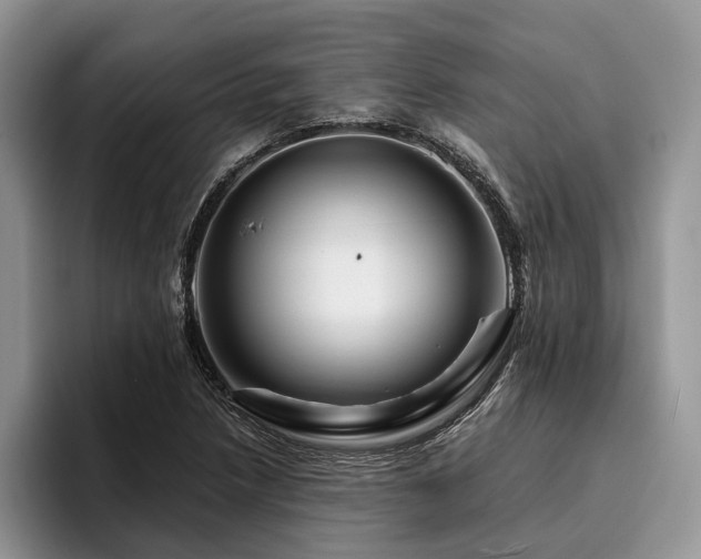 X0000096191218200801181314