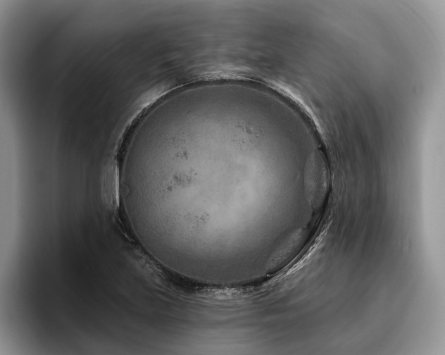X0000096191219200801181314