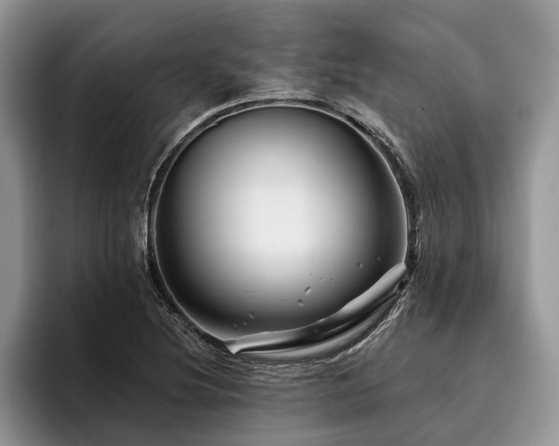 X0000096191220200801181314