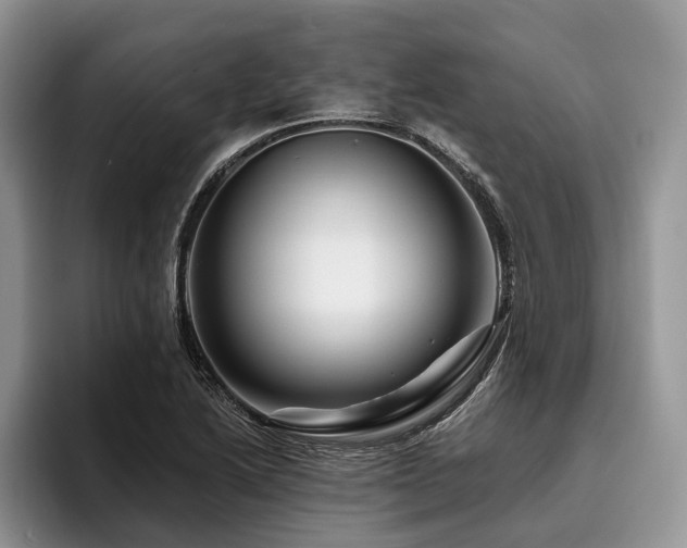 X0000096191222200801181314