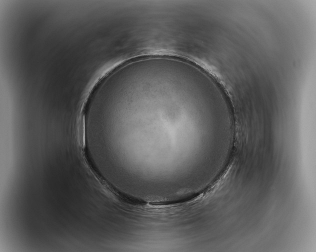 X0000096191223200801181314