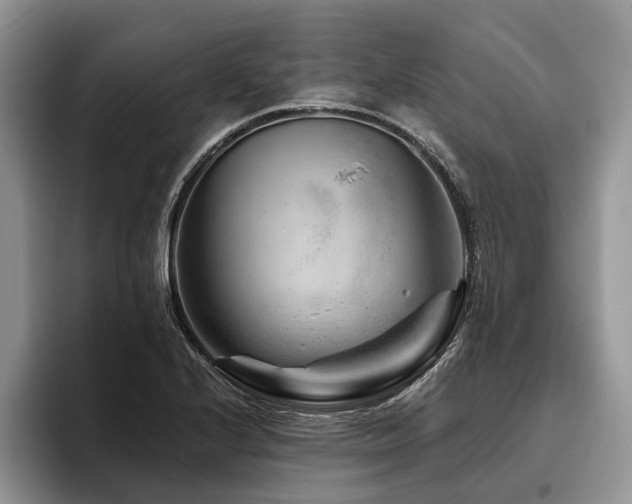 X0000096191224200801181314