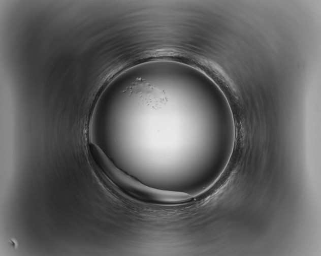 X0000096191225200801181314