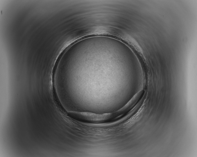X0000096191226200801181314