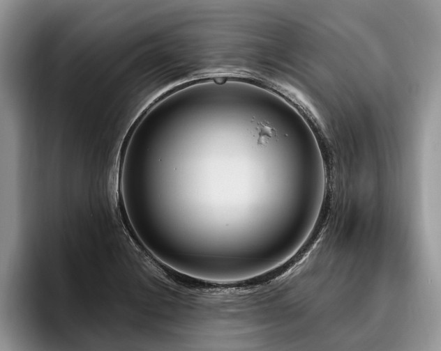 X0000096191228200801181314