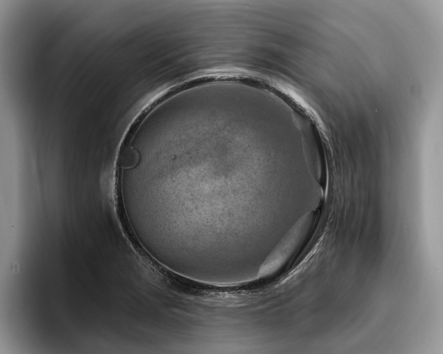 X0000096191229200801181314