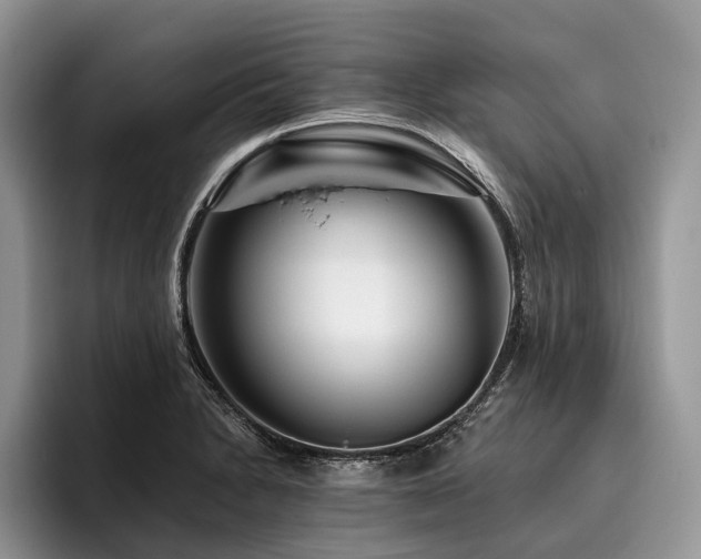 X0000096191230200801181314