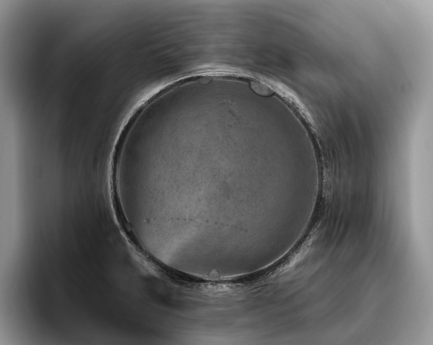 X0000096191231200801181314