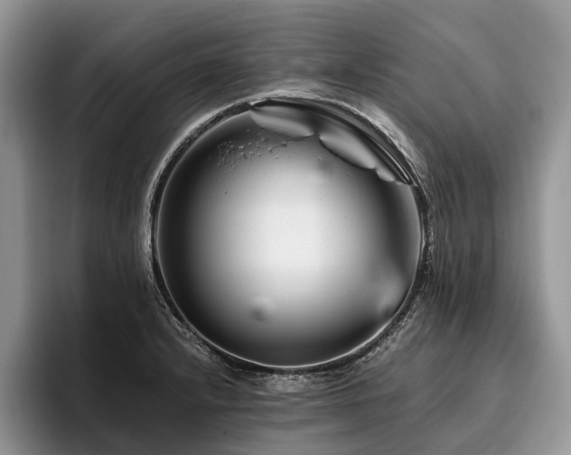 X0000096191232200801181314