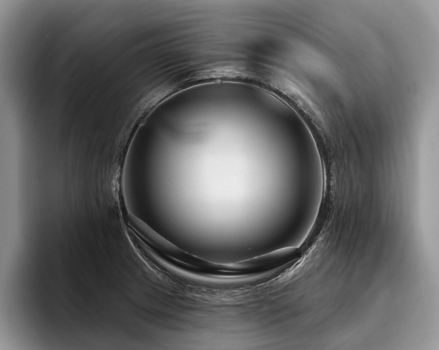 X0000096191233200801181314
